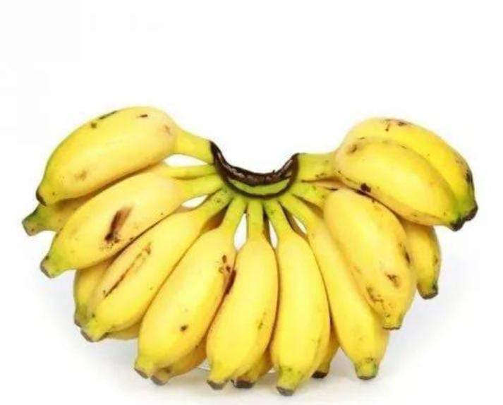 Premium banana - Image 4