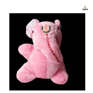 Ganesh Teddy