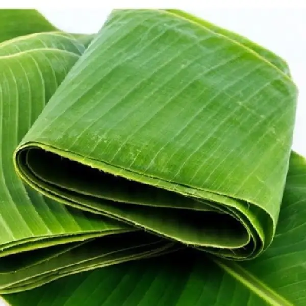 Banana Leaves - Image 3