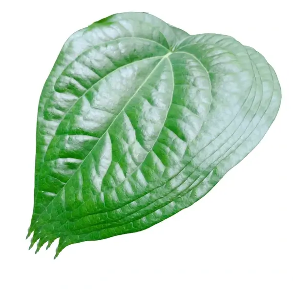 Betel leaves - Image 2