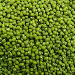 Green Mung