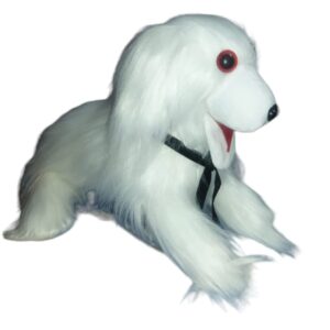 Dog Toy