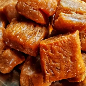 Khasta gaja
