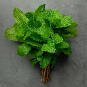 Mint leave
