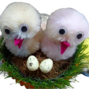 Soft Toy birds