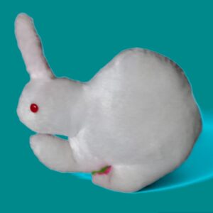 Rabbit soft toys