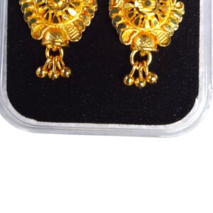 Earing Gorakhnath app