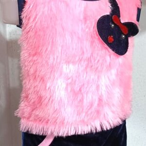 Ladies Dress