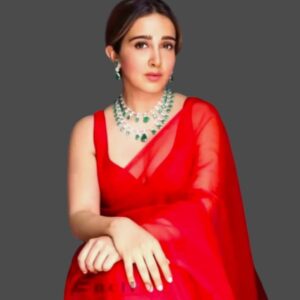 Red Net Saree