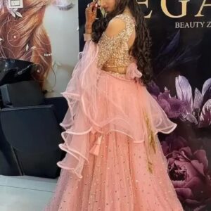 wedding lehengha choli