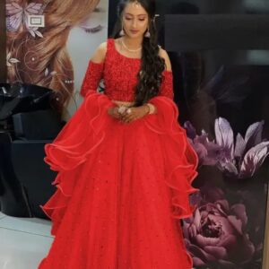 Red net velvet lehenga choli