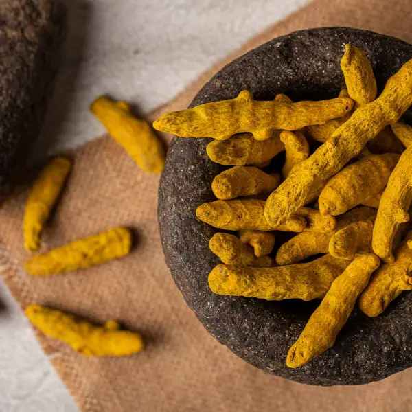 Haldi Fresh Roots Raw Turmeric - Image 2