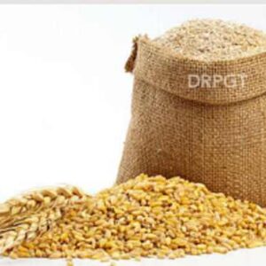 Wheat Seeds