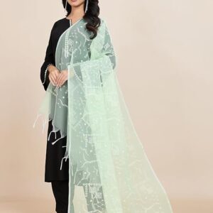 Women's Chikankari Hand Embroidered Banarasi Dupatta