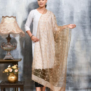 Beige Colour Organza Dupatta