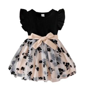 Baby-Girl's Net Fit Dress