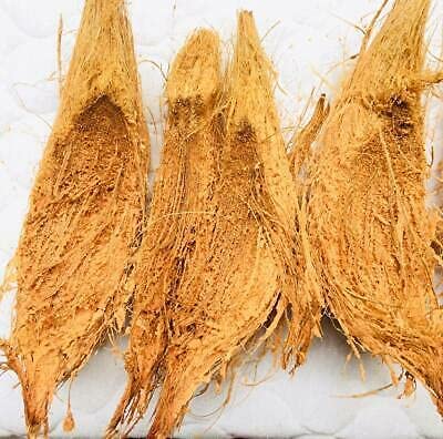 Lacian Natural Organic Treated Coconut Husk for Orchid - Image 2