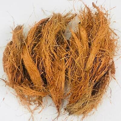 Lacian Natural Organic Treated Coconut Husk for Orchid - Image 3