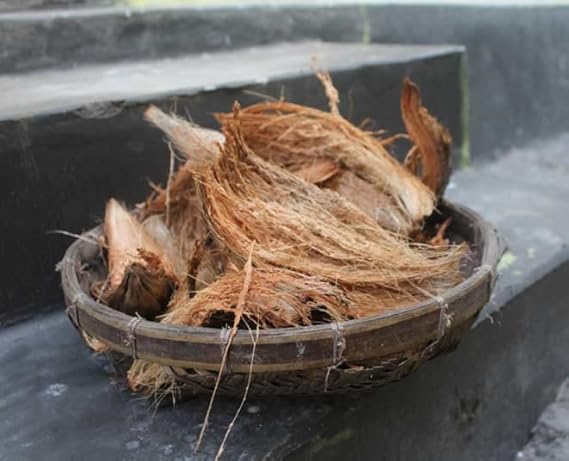 Lacian Natural Organic Treated Coconut Husk for Orchid - Image 4