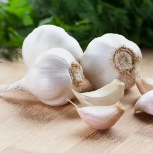 Garlic