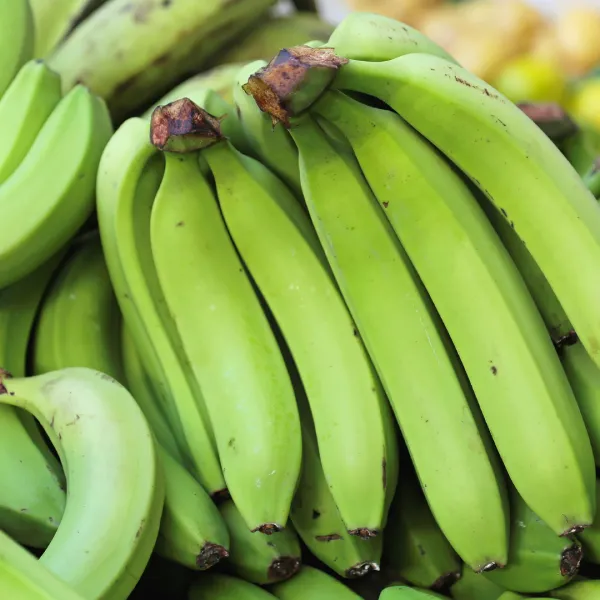 Green plantain - Image 4