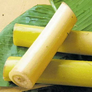 platain Stem