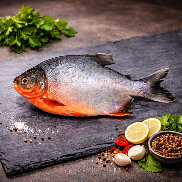 Rupchand Fish