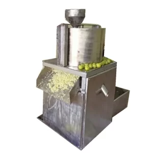 Amla Shredding Machine