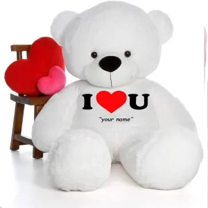 Big Teddy Bear