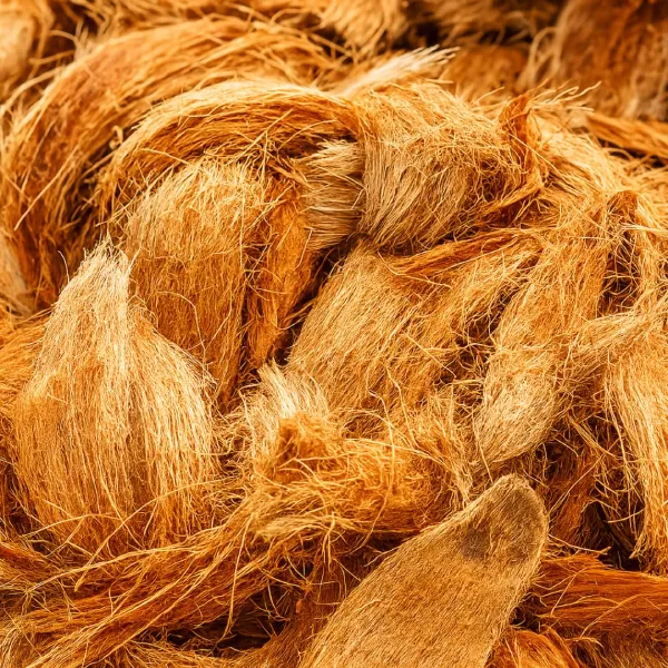 Lacian Natural Organic Treated Coconut Husk for Orchid