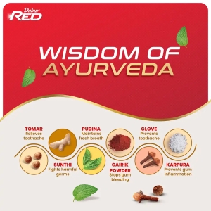 Dabur Red Ayurvedic Toothpaste - Image 5