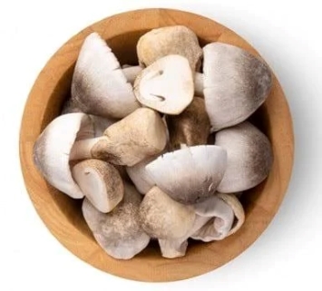 Mushroom- Pala Chhatu