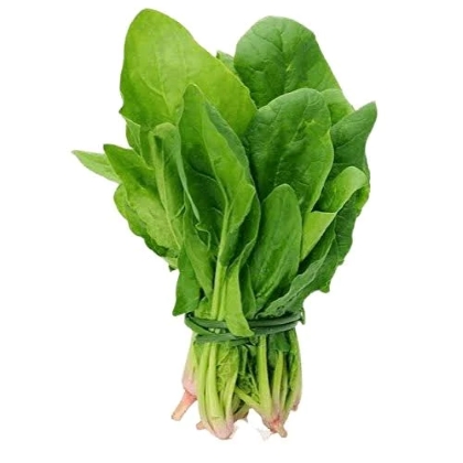 Spinach (Palak)