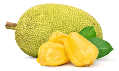 Jackfruit