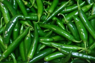 Green Chilli - Image 2